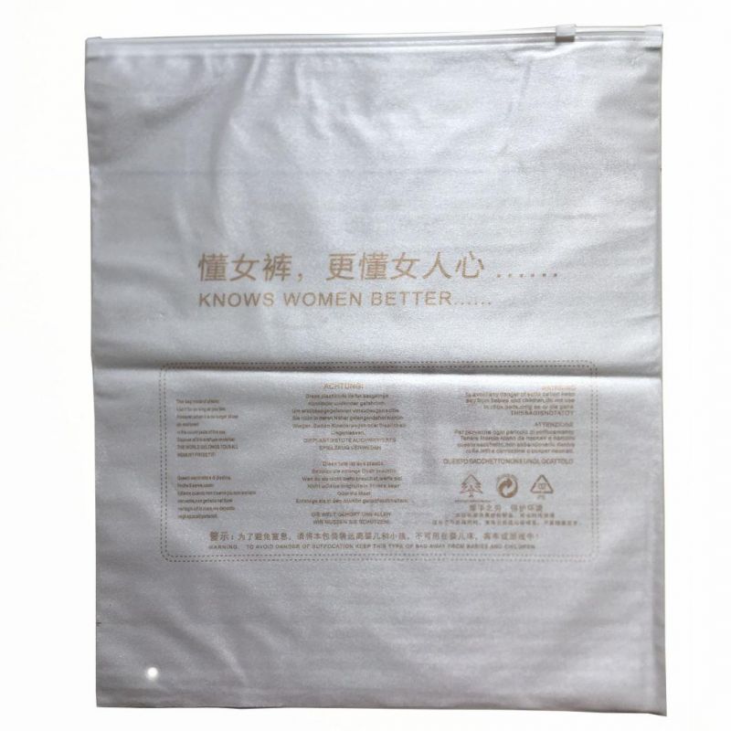 Zip Lock Bag for Clothing OEM Logo Packaging Bags Plastic Bags Poly Bag