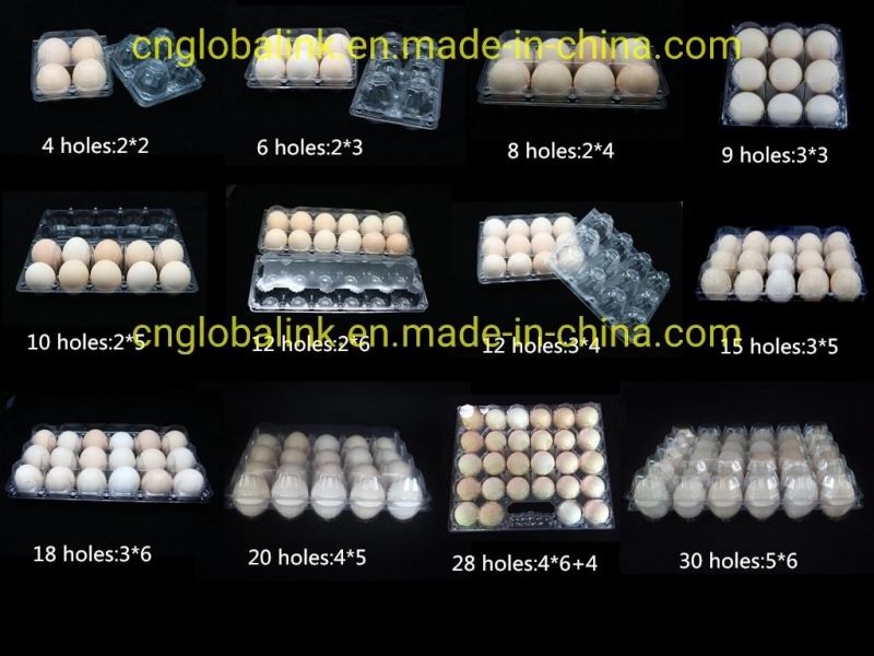 Plastic Chicken Egg Box Quail Egg Packing Tray 12/15/30 Cells Plastic Packaging