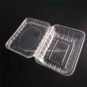 Recyclable Plastic Food Packing Clamshell