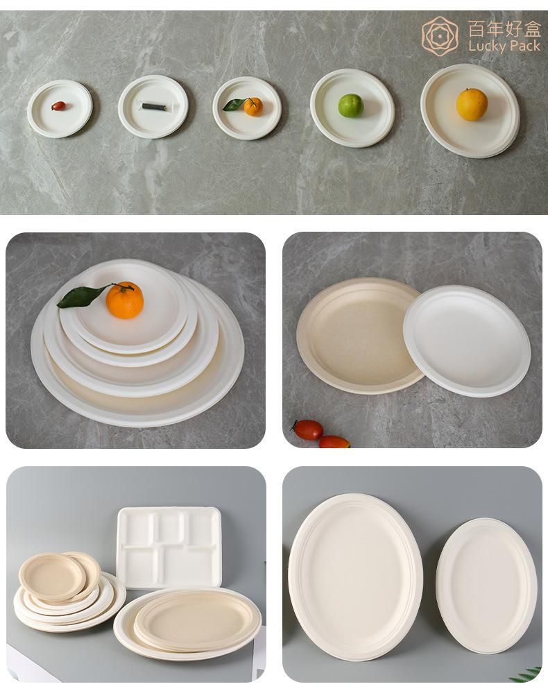 6 6.75 7 8.75 9 10 Inch Sugarcane Bagasse Paper Pulp Disposable Round Plate