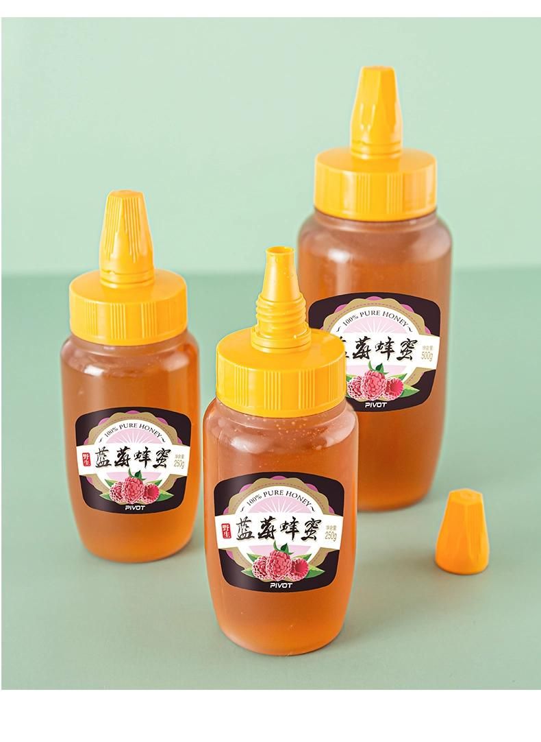 250g 500g 1000g Plastic Honey Syrup Ketchup Jam Hot Fill Beverage Squeeze Bottle