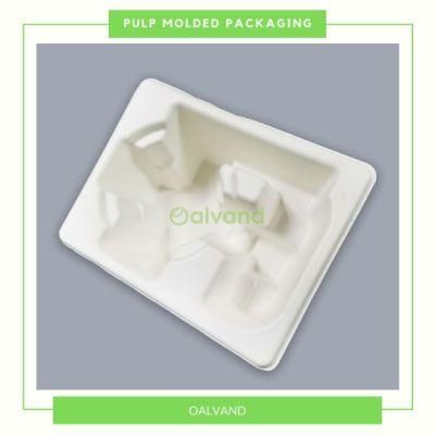 Customized Compostable Sugarcane Bagasse Pulp Molded Lamp Tray