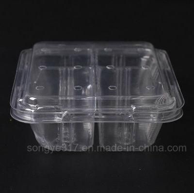 Customized Transparent Pet Plastic Packaging Box