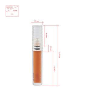 Luxury Beauty as/ABS Makeup Products Electroplating Cosmetic Packaging Lip Gloss