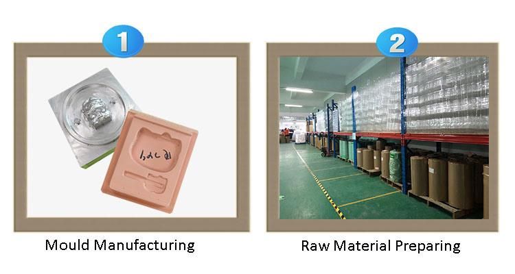 Customized Thermoforming Blister Insert Card Plastic Packaging