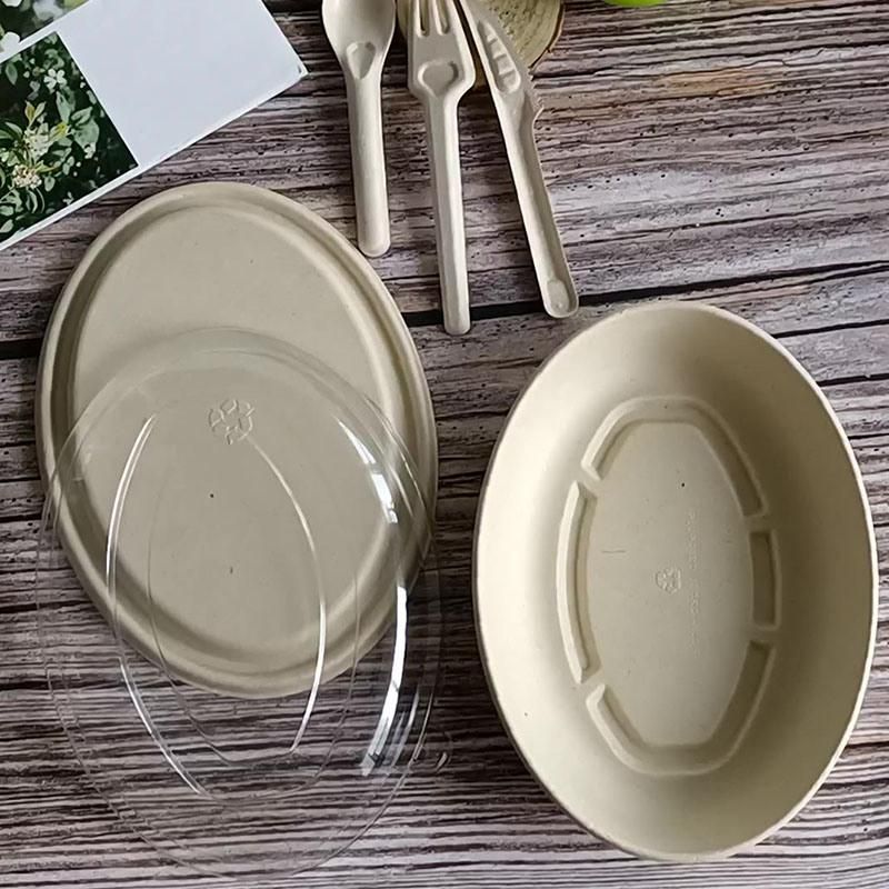 Tableware Biodegradable Bagasse Oval Food Grade Paper Take out Lunch Box
