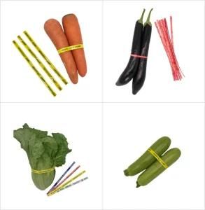 Paper Printed Vegetable Binding Twist Tie