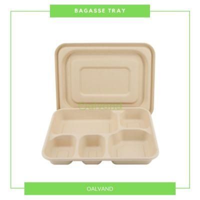 Biodegradable Compostable Microwavable Sugarcane Bagasse Takeaway Food Packaging (Meat Tray/Fruit Tray/ Sushi Tray/Taco Tray)