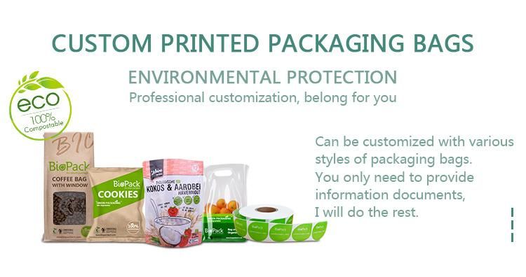 Custom Printing Laminated Stand up Ziplock Biodegradable Plastic Packaging Pouch Bag for Food