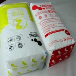 Reusable PP Non Woven Paper Bag/Cement and Fertilizer Bag