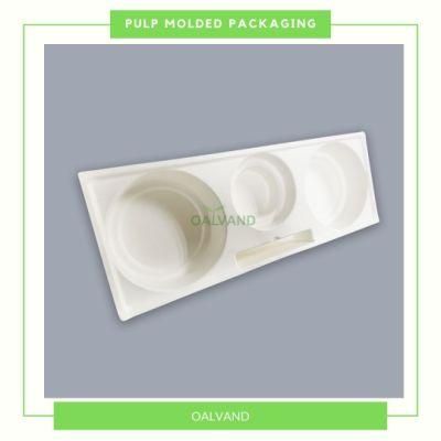 Customized Disposable Sugarcane Bagasse Pulp Molded Packaging for Electronics