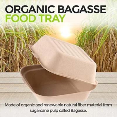 Eco Friendly Takeout Containers Biodegradable to Go Box Restaurant Food Clamshell Boxes