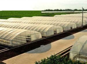 Green House Protect, PE Greenhouse Agriculture Film