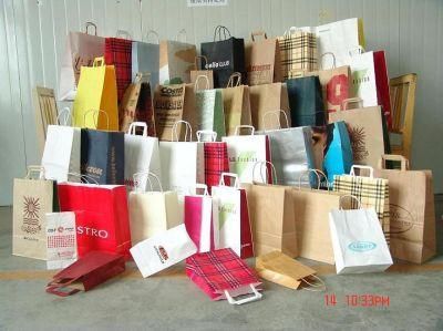 Biodegradable Kraft Paper Bag Custom Gift Shopping Bags OEM/ODM