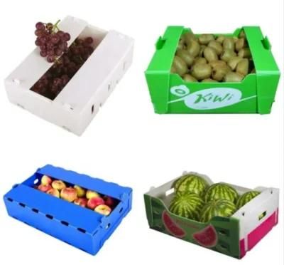 Polypropylene Material Plastic Corrugated Box for Packing