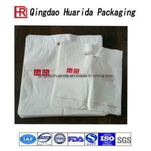 Customize Laminated Plastic Shopping Carrier Bag