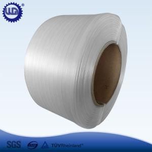 Wholesale High Tenacity Polyester Composite Cord Strap for Cargo Binding