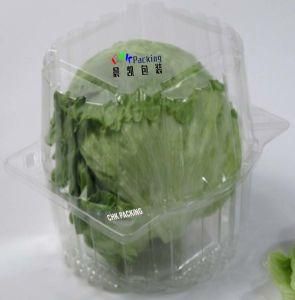 Lettuce Packaging Lettuce Packaging Lettuce Blister Clamshell Packaging for Living Lettuce