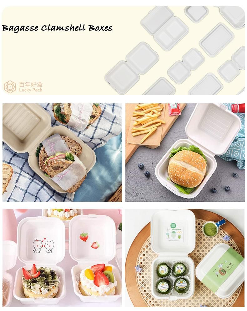 Eco-Friendly Compostable Disposable Bagasse Take Away Food Packaging Box for Sandwich Burger Cake Lunch