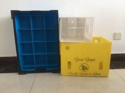 Impact-Resistance Polypropylene Plastic Corrugated Turnover Cold-Chain Box with Plastic Frames