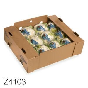 Z4103 Lettuce Carton Box 2018 Hot Selling Corrugated Box Customize Cardboard Printing Handle Apple Fruit Packaging Box with Divider