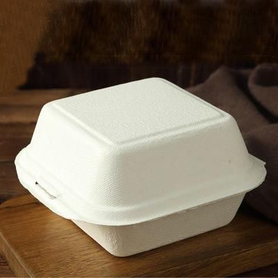 Disposable Paper Box Sugarcane Bagasse Food Packaging Boxes with Clamshell