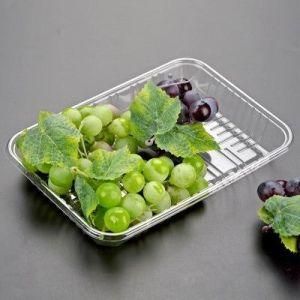 Transparent Fruits and Vegetables Pallet Plastic Container/Tray