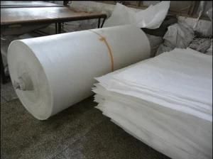 Laminated PP Woven Fabric in Roll/Plastic Woven Fabric Rolls for Packing