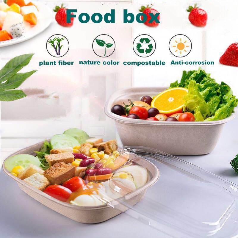 Biodegradable 8 Inch X 8 Inch 3 Compartment Food Packaging