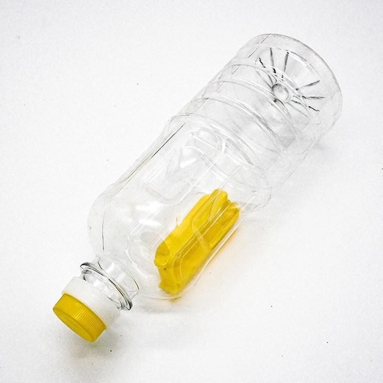 Round Transparent Olive Oil Bottle Cooking Oil Glass Empty Bottle