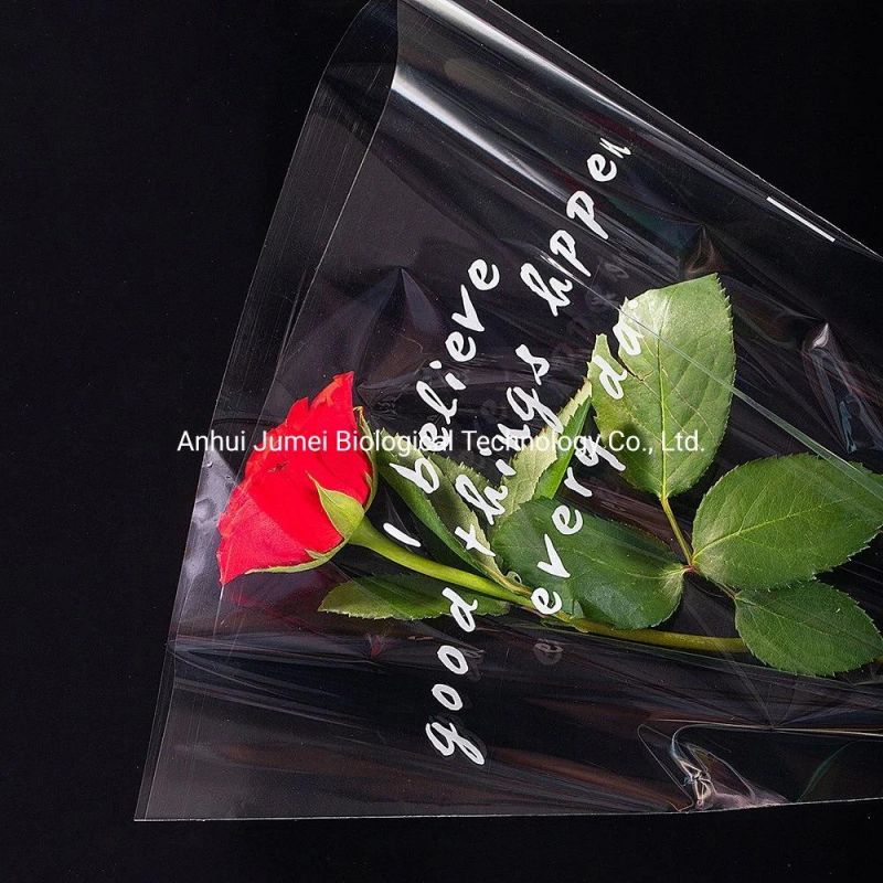 Biodegradable Garment Bags PLA Pbat Compostable Garment Packaging Bags