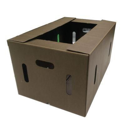 Wax Immersed Corrugated Paper Carton Box for Packing