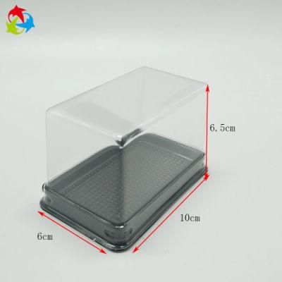 Free Sample Clear Disposable Plastic Container for Mini Cake