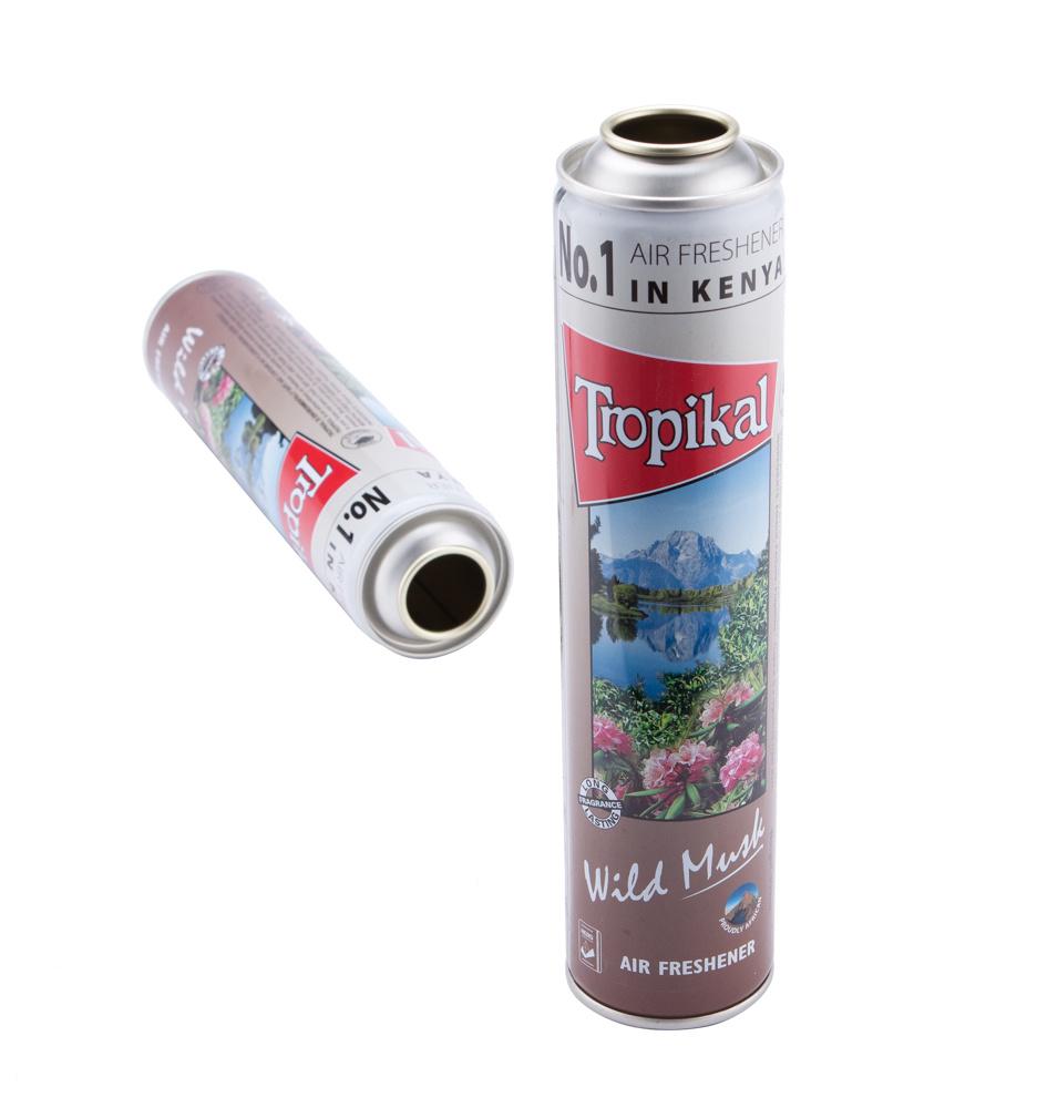 Customized Logo Tinplate Aerosol  Spray  Container  for Automobile Cleaning Agent