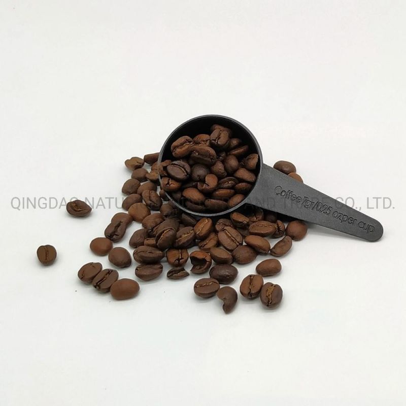 High Quality Safety Material Transparent Plastic PP Measuring Milk Powder Spoon Coffee Spoon