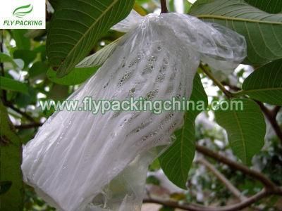 Expandable Guava Foam Net in Food Grade