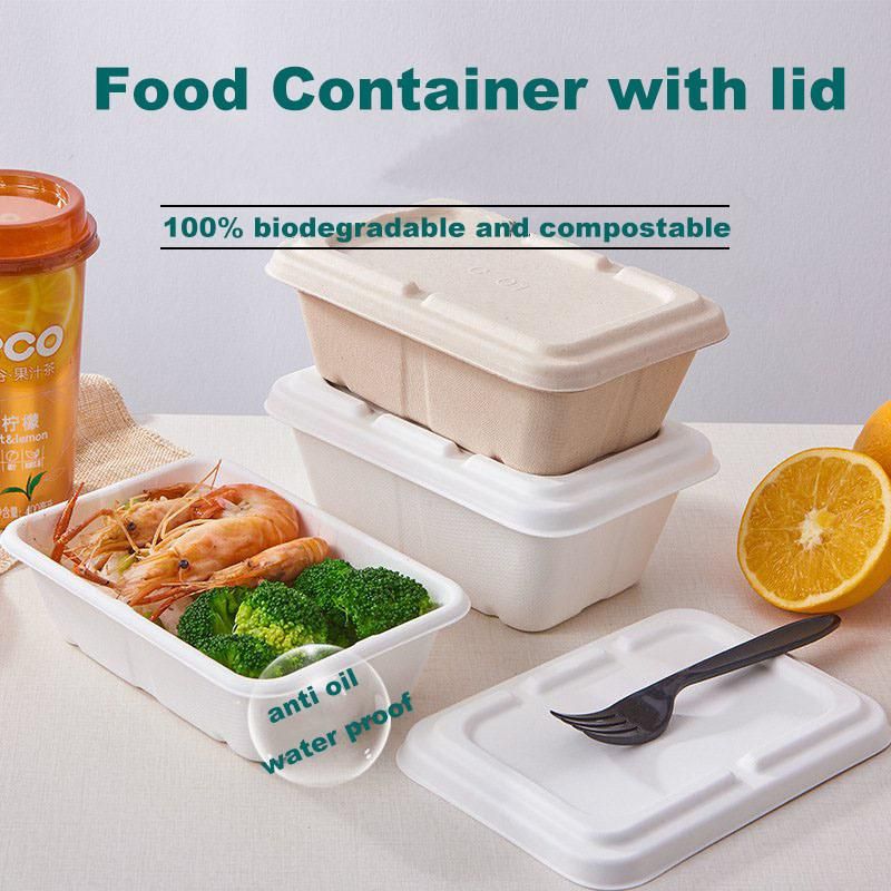650ml Food Packaging Box Biodegradable Lunch Supplier Container Plastic Tray
