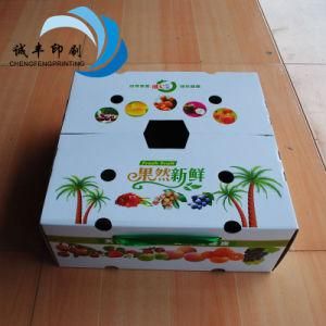 Corrugated Paper Carton for Fruit Package