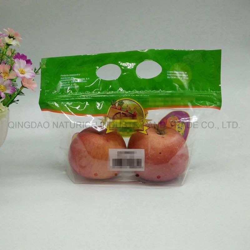 Plastic Laminated Fruit Packing Bag with Hand Hole