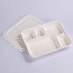 Sugarcane Lid for 5 Compartment Deep Tray