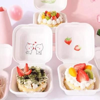 100% Biodegradable Sugarcane Bagasse Fast Food Sandwich Burger Cake Lunch Boxes