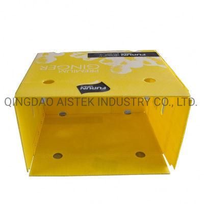 Corrugated Polypropylene Plastic Carton Box