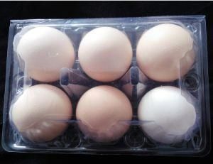 Supermarket Super Store Biodegradable Plastic Retail Egg Packing Tray Blister Box