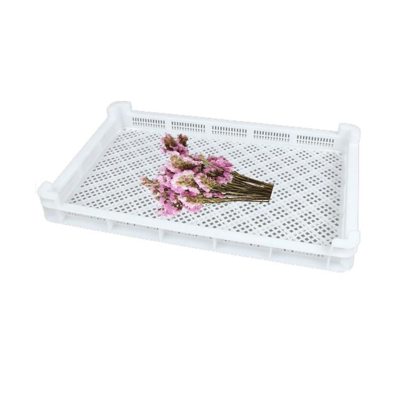 Plastic Baking Tray for Food 600*400*50mm