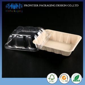 Take Away Box Hinged Pet Heat Resistant Plastic Food Storage Container