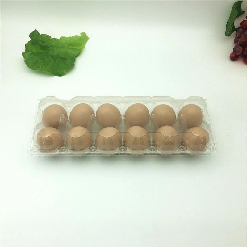 Pet Disposable Plastic Egg Tray Packaging