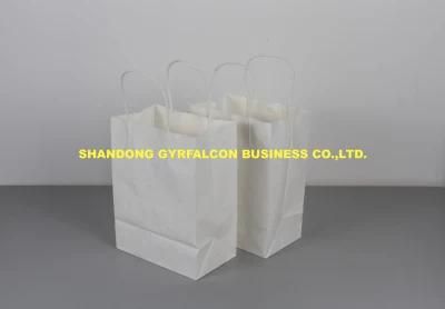 Factory Direct Supply Customization Biodegradable Packaging Paper Bag OEM