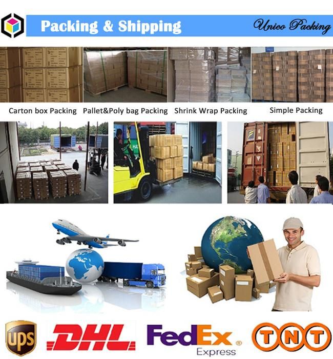 Double Sided Color Print Cardboard Shipping Box, Shoes Packaging Box