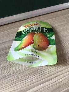 Custom Special Shape Printing Laminated Material Spout Packing Fruit Juice Jelly Packaging Bag