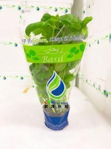 PLA BOPP CPP PE Basil Micro-Perforated Sleeves Transparent Vegetable Lettuce Bags Airhole Plastic Perforated Sleeves for Herbs